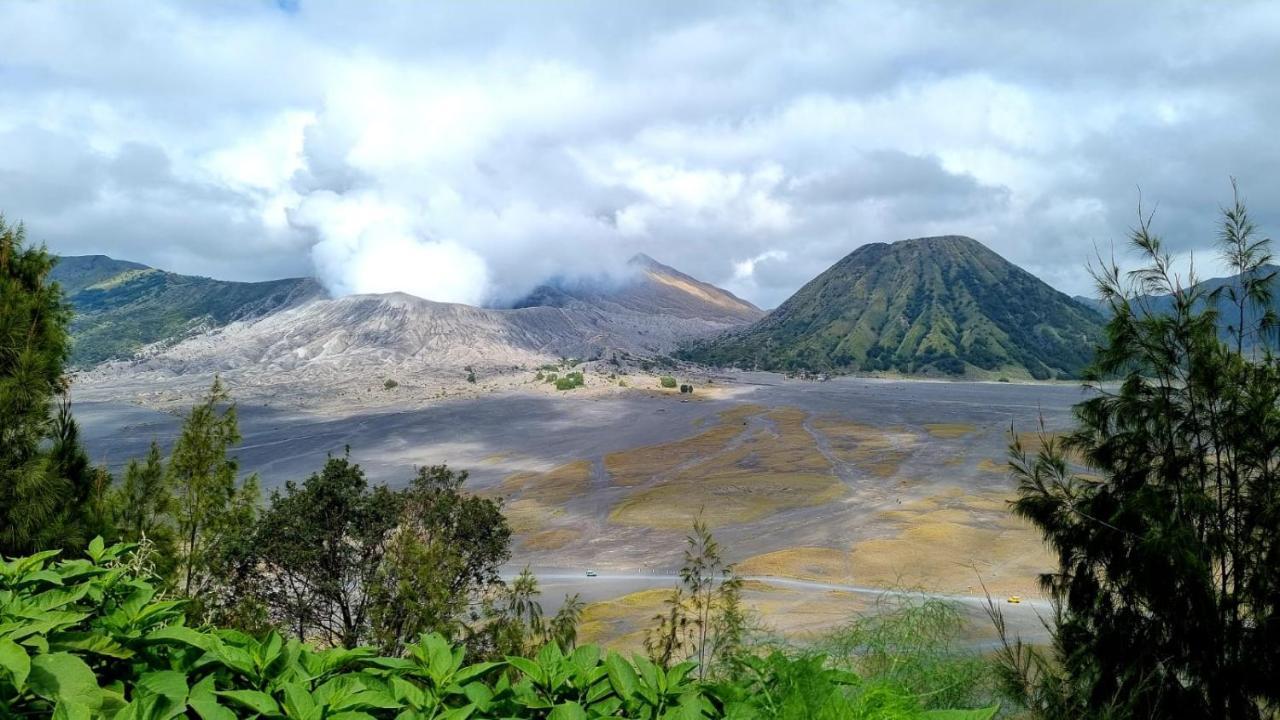 Dannu'S Homestay Ijen And Bromo Tour بانيووانجى المظهر الخارجي الصورة