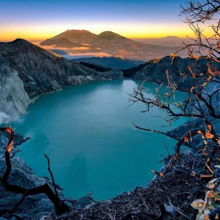 Dannu'S Homestay Ijen And Bromo Tour بانيووانجى المظهر الخارجي الصورة