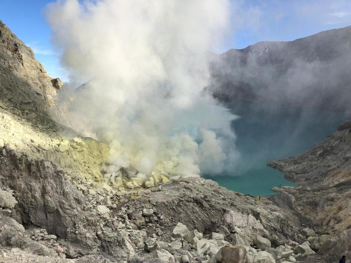 Dannu'S Homestay Ijen And Bromo Tour بانيووانجى المظهر الخارجي الصورة